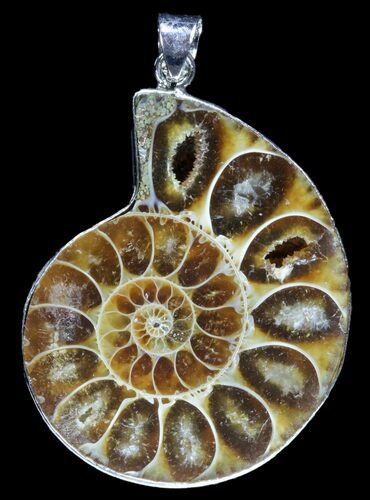 Fossil Ammonite Pendant - Million Years Old #89810